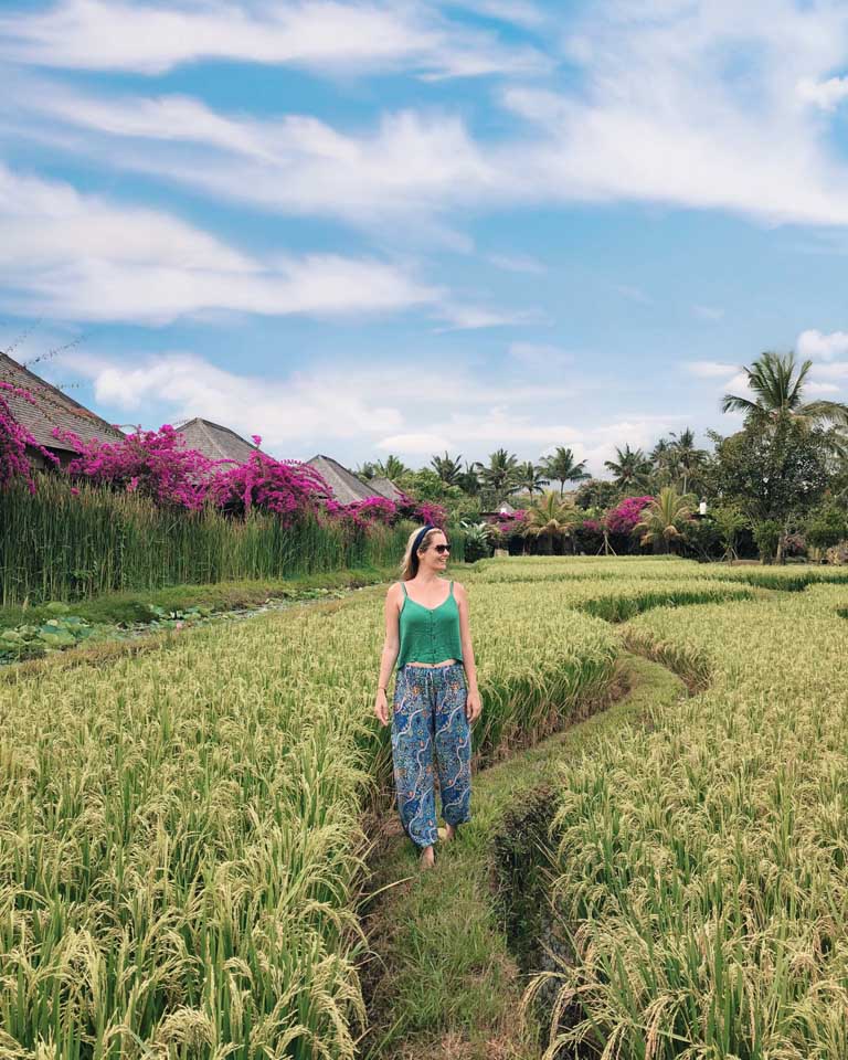 campos de arroz do Desa Visesa Ubud