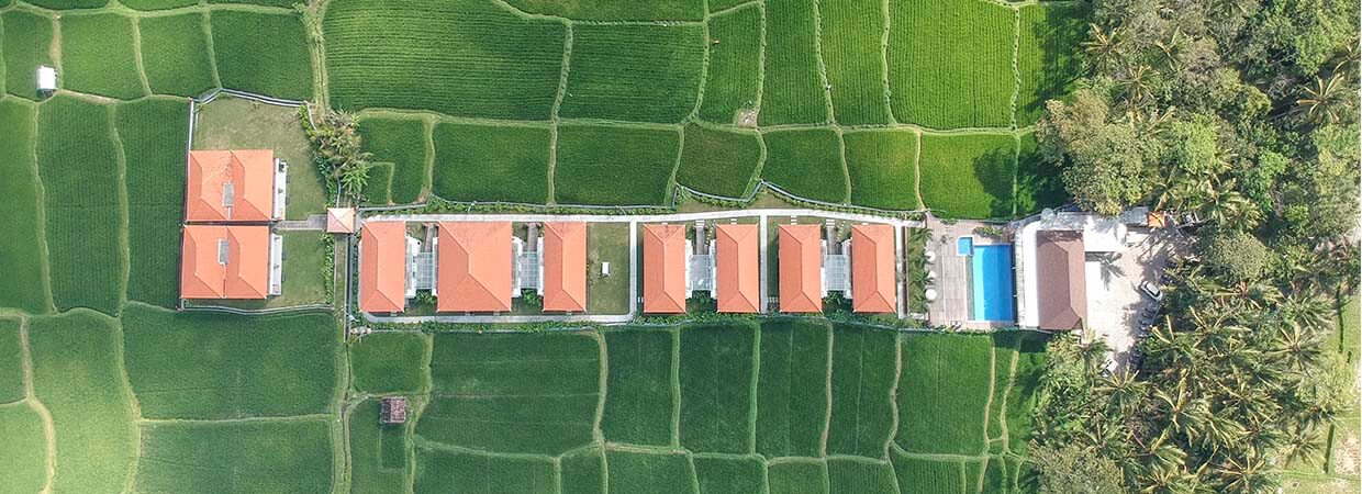 UbudOne Villas e campos de arroz